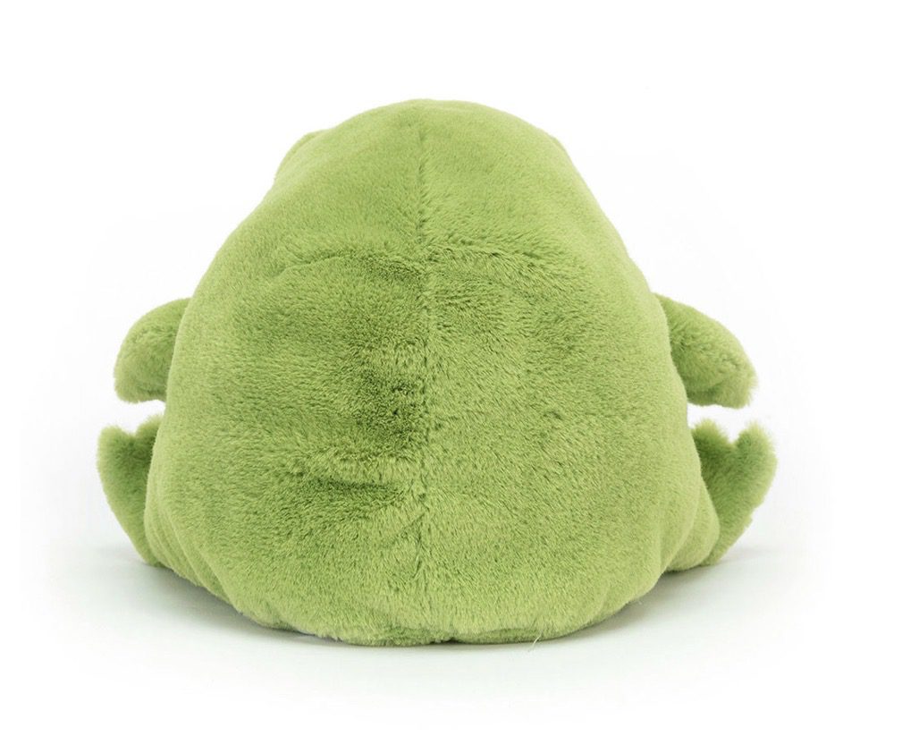 Jellycat Ricky Rainfrog - Image 3